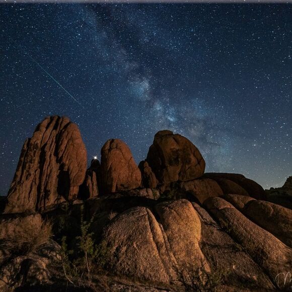 Joshua Tree's Beauty!  - Picture 2 of 16